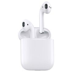 Apple AirPods 2 with Charging Case MV7N2 White (белый)